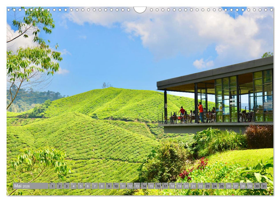 Backpackerin, Frauen reisen um Die Welt (CALVENDO Wandkalender 2026)