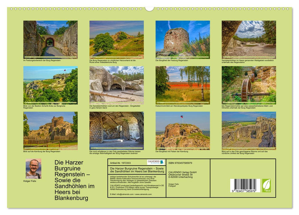 Die Harzer Burgruine Regenstein – Sowie die Sandhöhlen im Heers bei Blankenburg (CALVENDO Premium Wandkalender 2026)