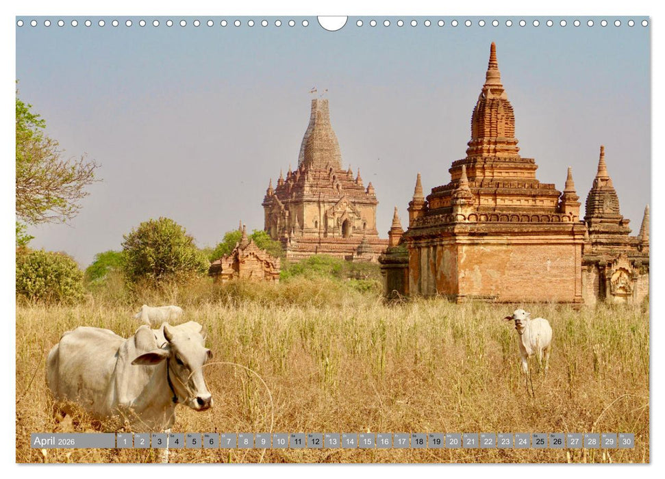 Als Backpacker um die Welt (CALVENDO Wandkalender 2026)