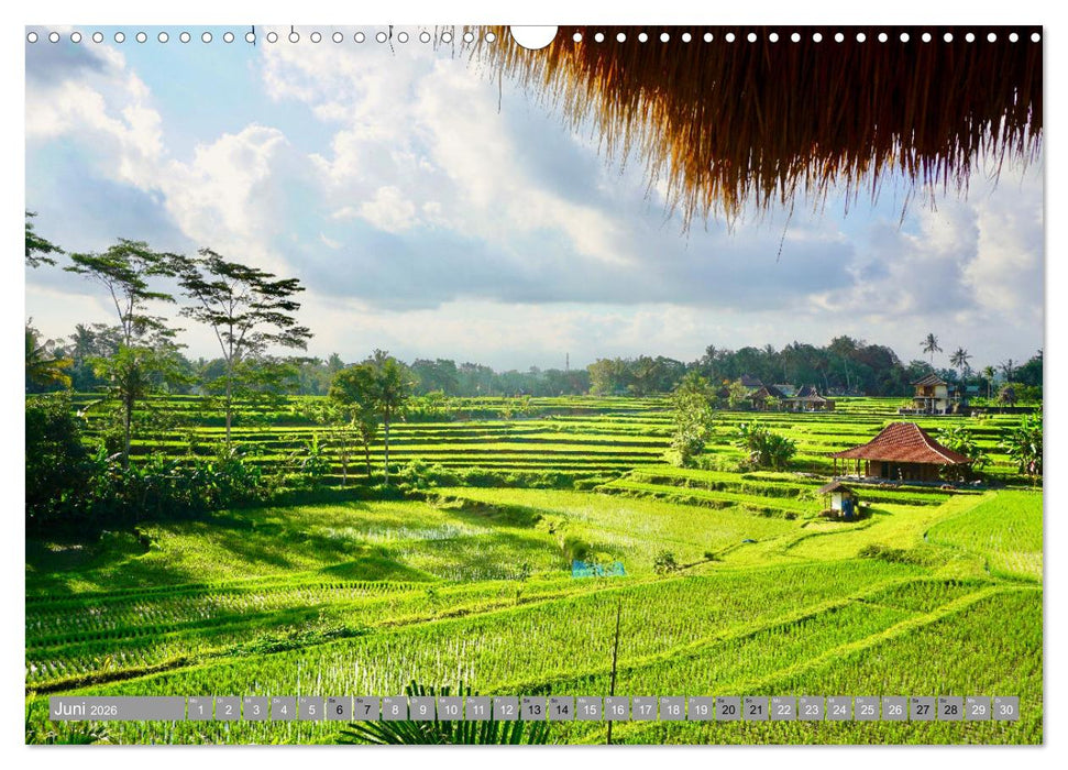 Als Backpacker um die Welt (CALVENDO Wandkalender 2026)