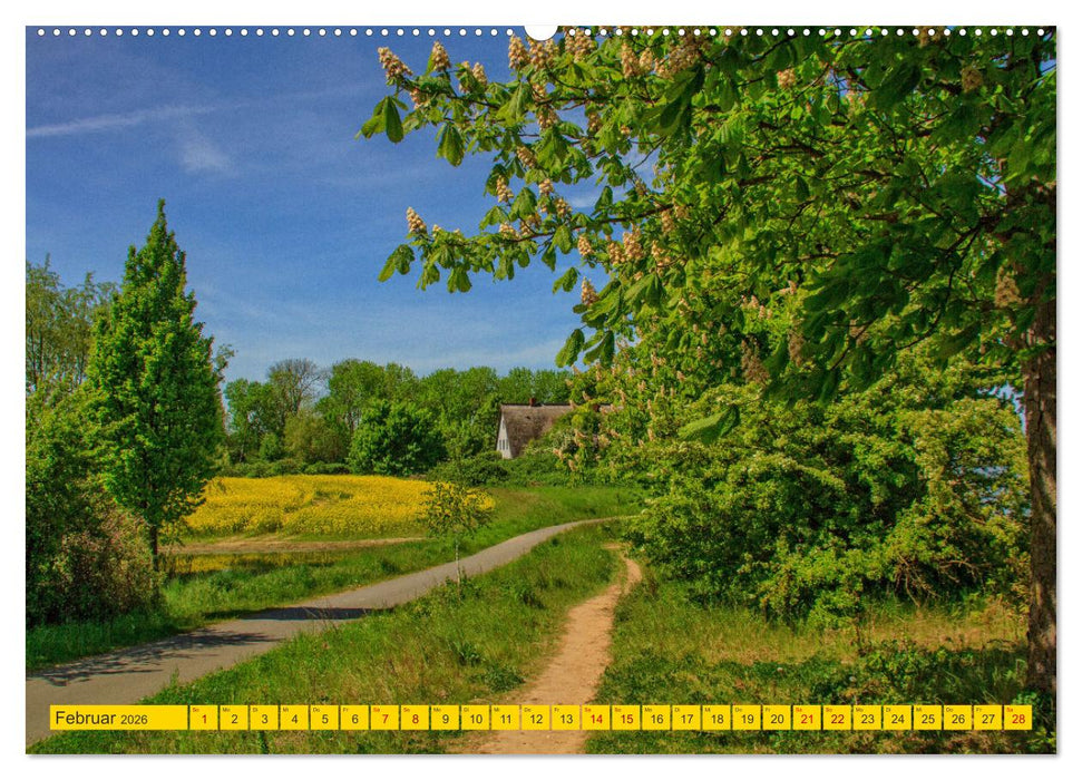 Reetdachhäuser in Hoben - Ein Maitag in der Wismarbucht (CALVENDO Wandkalender 2026)