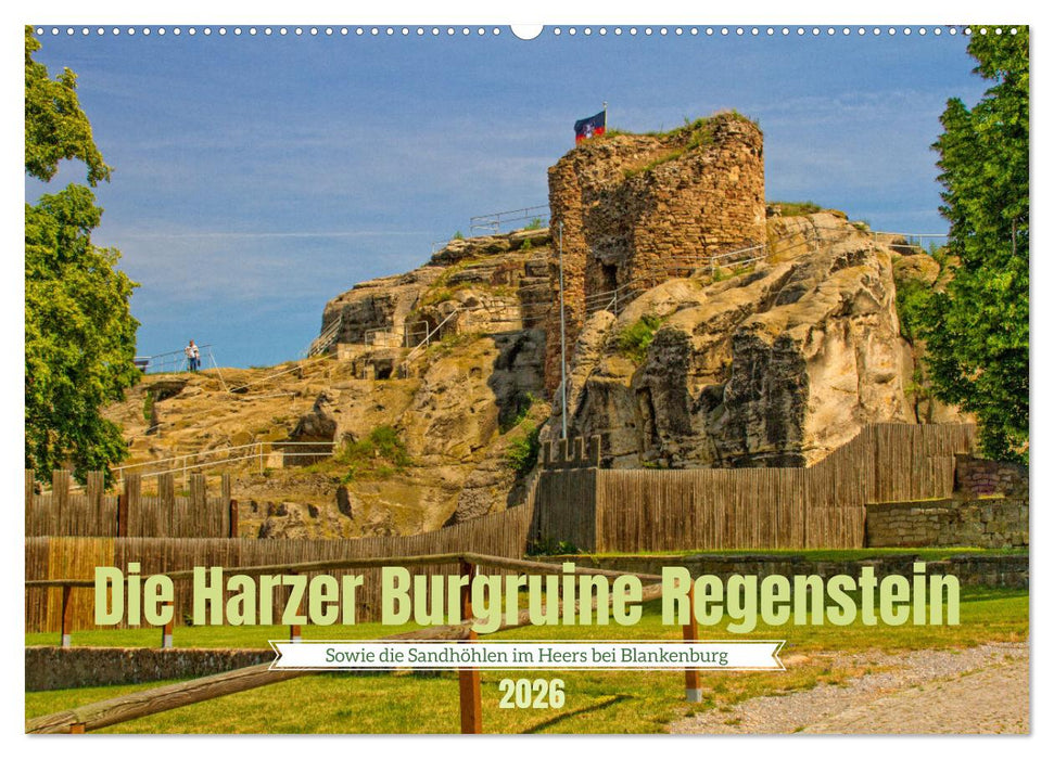 Die Harzer Burgruine Regenstein – Sowie die Sandhöhlen im Heers bei Blankenburg (CALVENDO Wandkalender 2026)