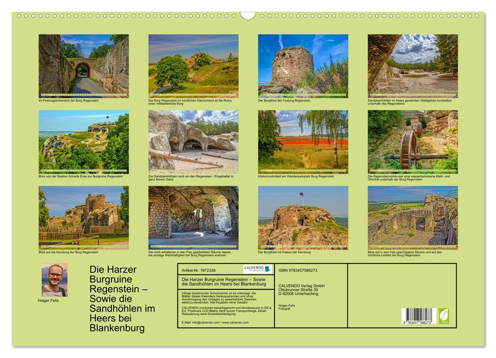 Die Harzer Burgruine Regenstein – Sowie die Sandhöhlen im Heers bei Blankenburg (CALVENDO Wandkalender 2026)