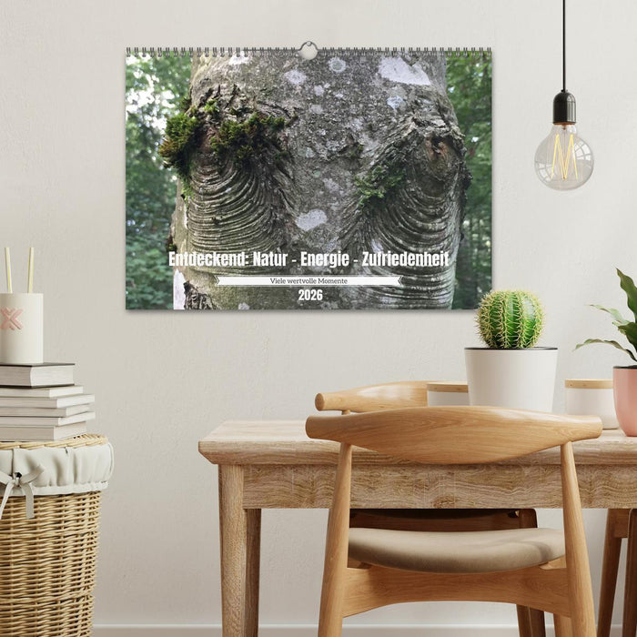 Entdeckend: Natur - Energie - Zufriedenheit (CALVENDO Wandkalender 2026)