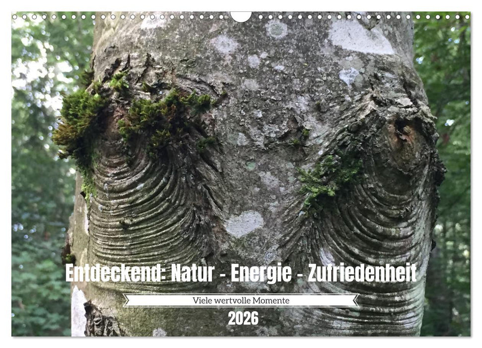 Entdeckend: Natur - Energie - Zufriedenheit (CALVENDO Wandkalender 2026)