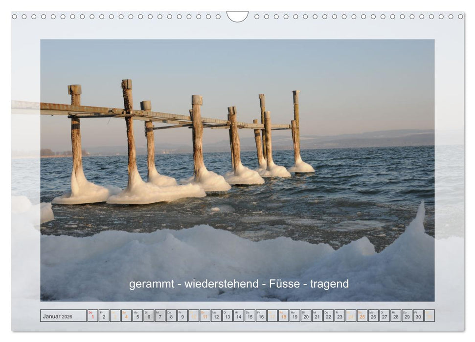 Entdeckend: Natur - Energie - Zufriedenheit (CALVENDO Wandkalender 2026)