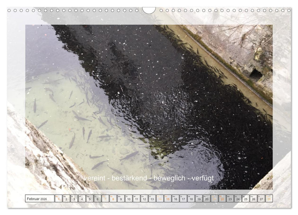 Entdeckend: Natur - Energie - Zufriedenheit (CALVENDO Wandkalender 2026)