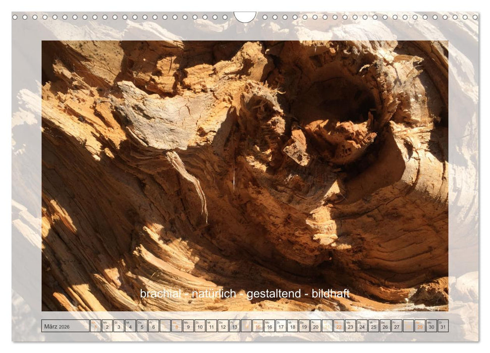 Entdeckend: Natur - Energie - Zufriedenheit (CALVENDO Wandkalender 2026)