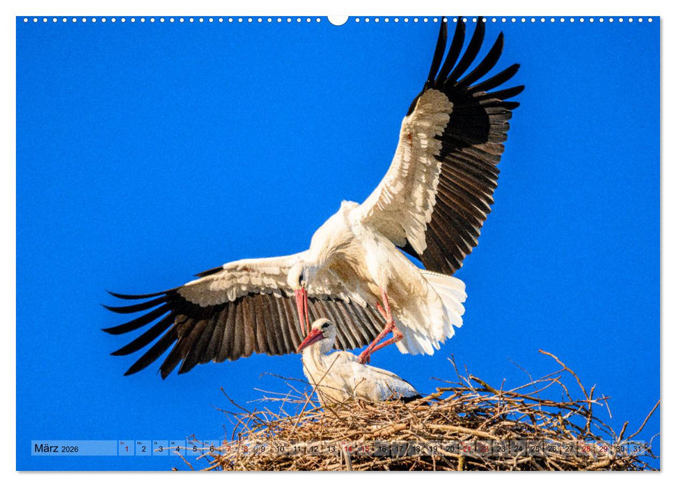 Börnicke - Bernau bei Berlin (CALVENDO Wandkalender 2026)