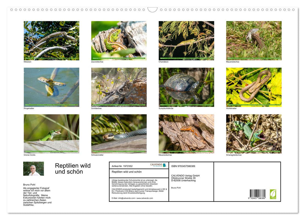 Reptilien wild und schön (CALVENDO Wandkalender 2026)