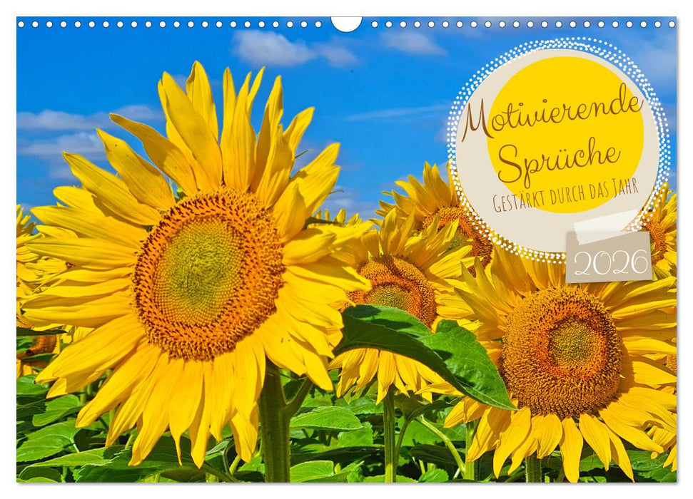 Motivierende Sprüche - gestärkt durch das Jahr (CALVENDO Wandkalender 2026)
