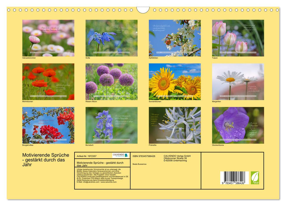 Motivierende Sprüche - gestärkt durch das Jahr (CALVENDO Wandkalender 2026)