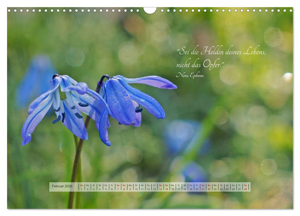 Motivierende Sprüche - gestärkt durch das Jahr (CALVENDO Wandkalender 2026)