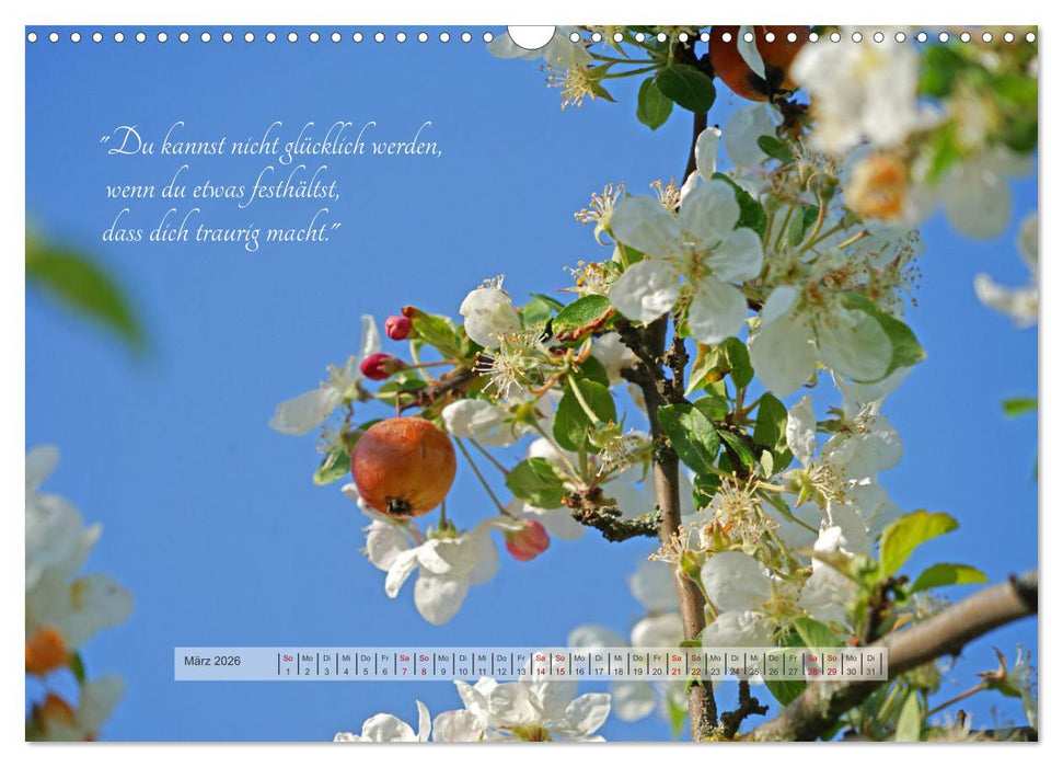 Motivierende Sprüche - gestärkt durch das Jahr (CALVENDO Wandkalender 2026)