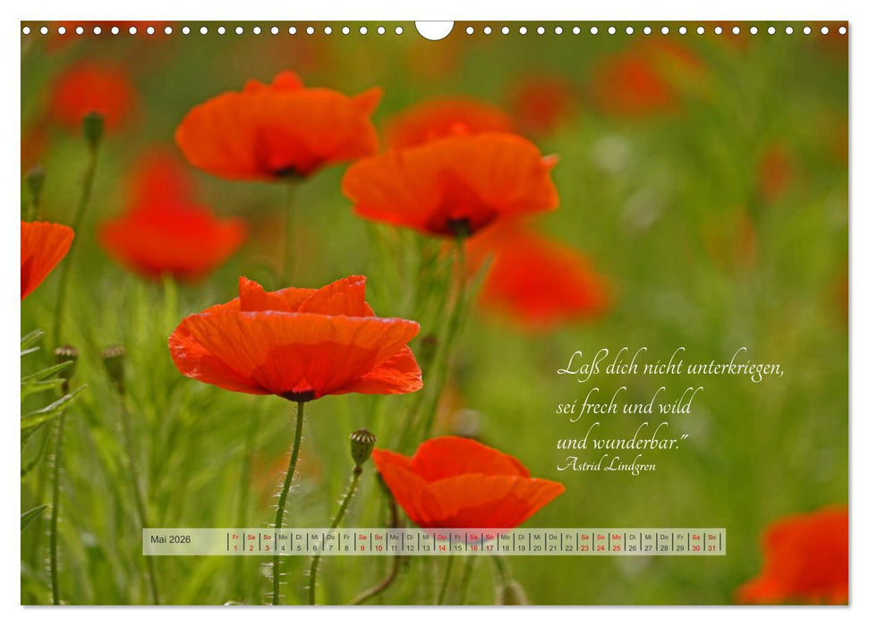 Motivierende Sprüche - gestärkt durch das Jahr (CALVENDO Wandkalender 2026)