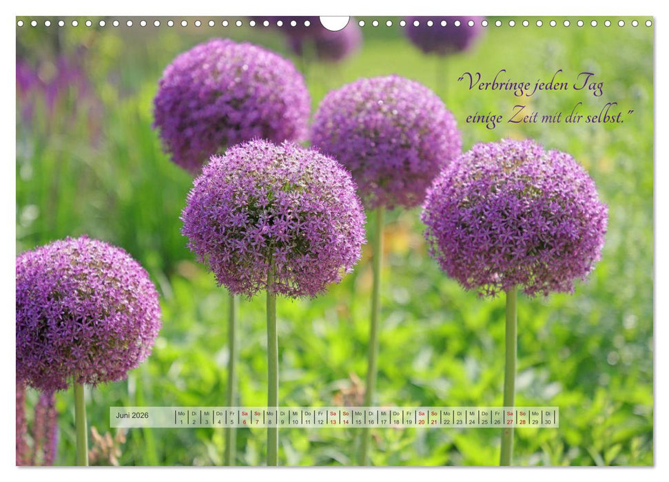 Motivierende Sprüche - gestärkt durch das Jahr (CALVENDO Wandkalender 2026)