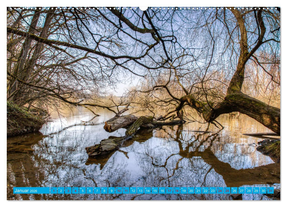Natur pur - Volkach am Main (CALVENDO Wandkalender 2026)