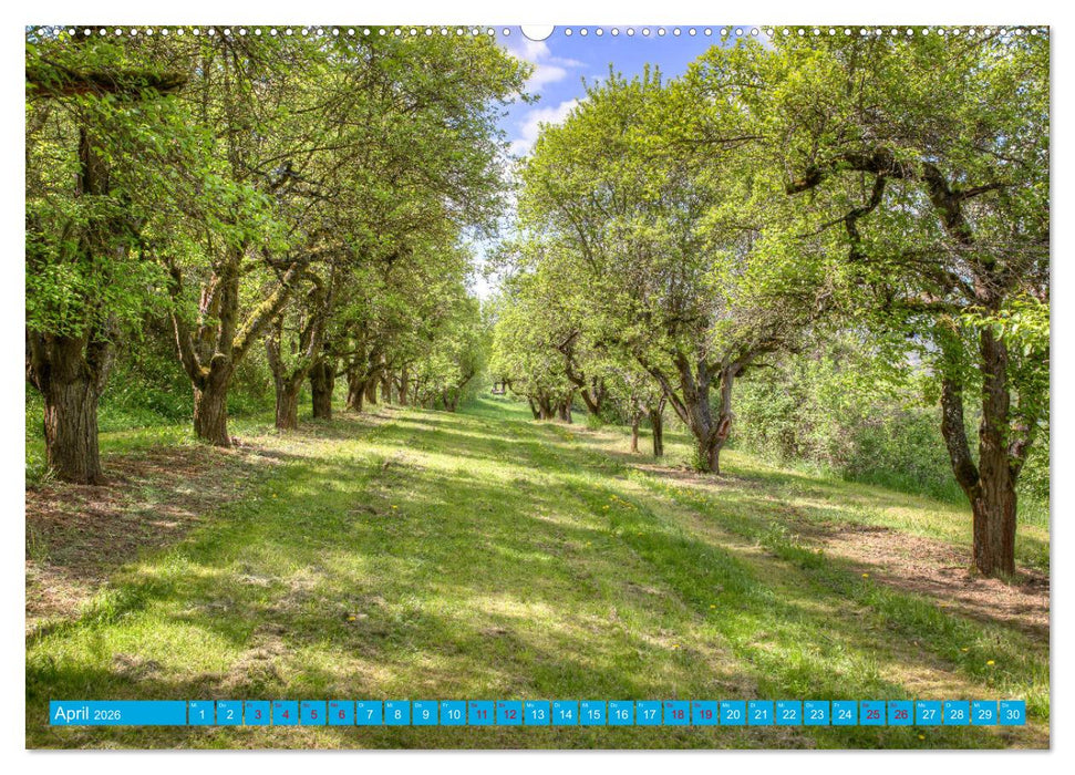 Natur pur - Volkach am Main (CALVENDO Wandkalender 2026)