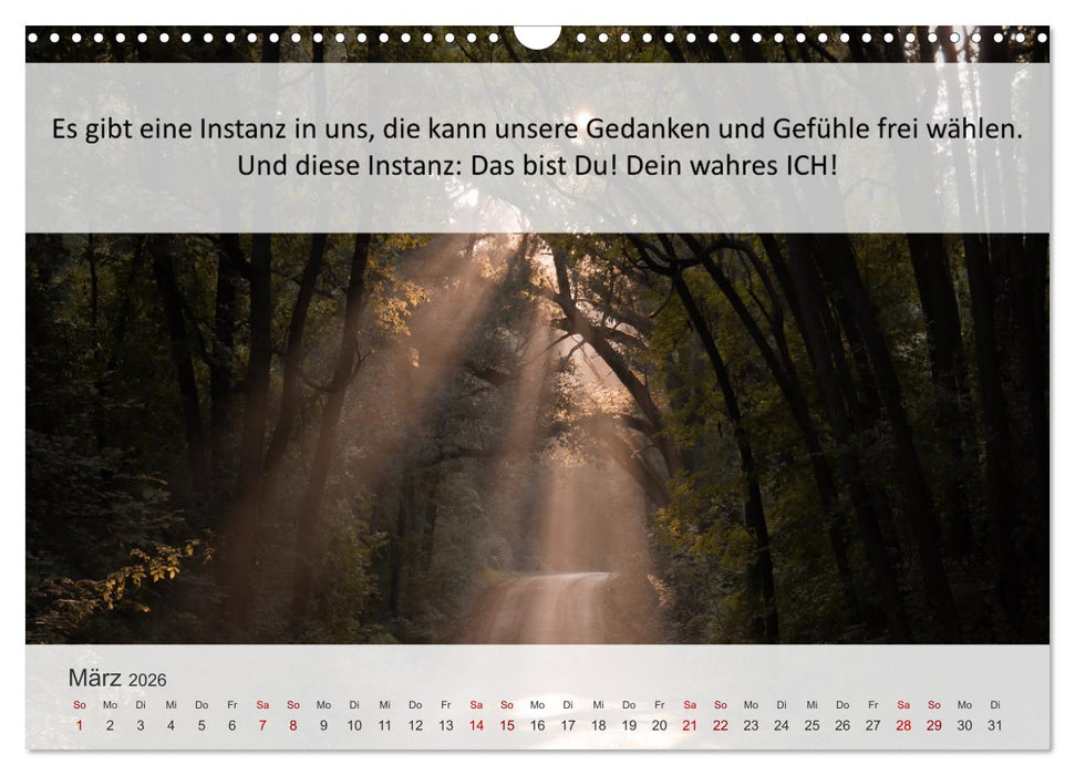 Motivationssprüche Erfolgsweg (CALVENDO Wandkalender 2026)