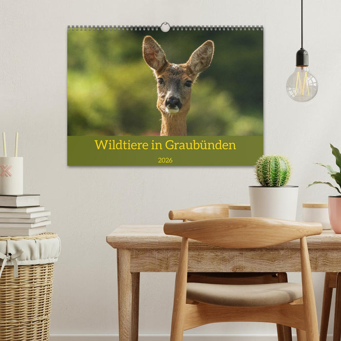Wildtiere in Graubünden (CALVENDO Wandkalender 2026)