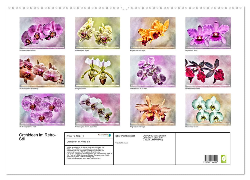 Orchideen im Retro-Stil (CALVENDO Wandkalender 2026)