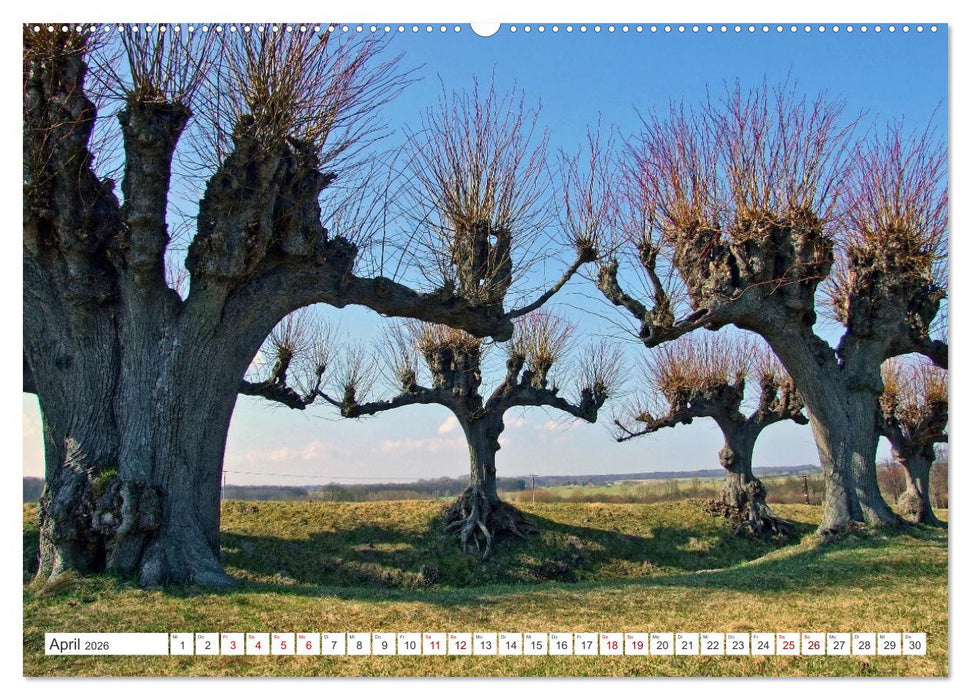 Das Klützer Schloss Bothmer – Ein Maitag in Mecklenburgs feinem Stück England (CALVENDO Wandkalender 2026)