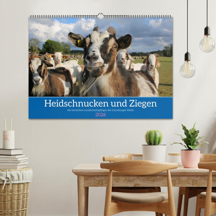 Heidschnucken und Ziegen die tierischen Landschaftspfleger der Lüneburger Heide (CALVENDO Wandkalender 2026)