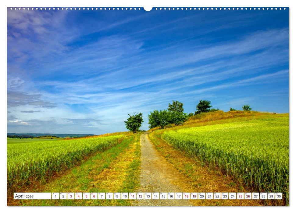 Harzer Teufelsmauer – Juniwanderung (CALVENDO Wandkalender 2026)