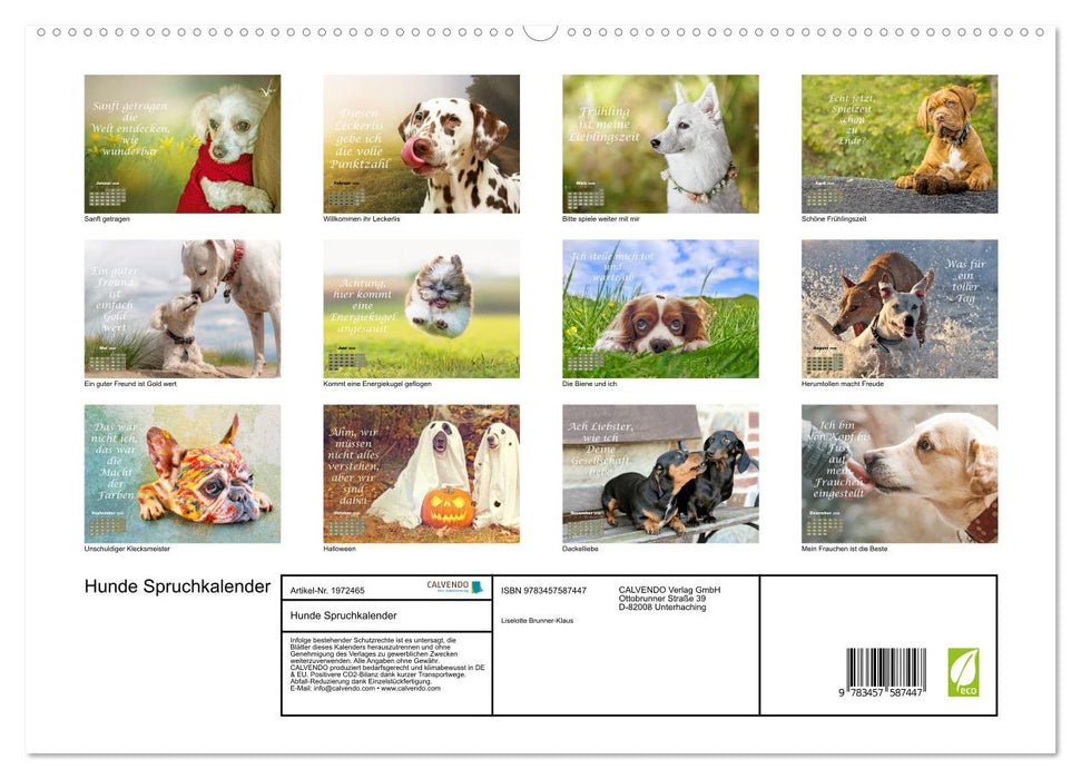 Hunde Spruchkalender (CALVENDO Premium Wandkalender 2026)