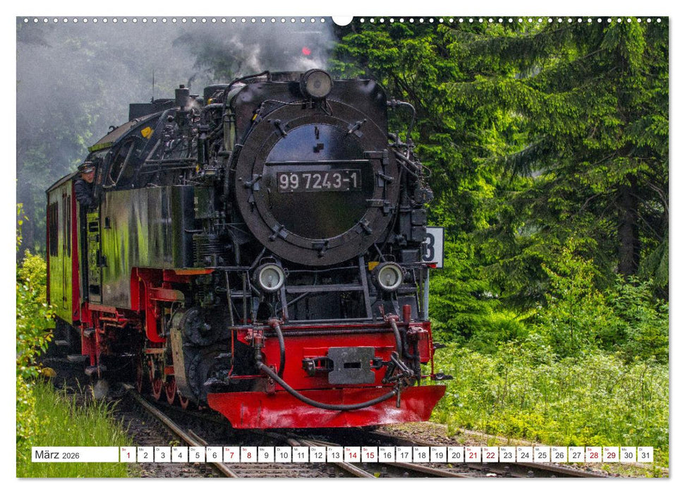 Schierke am Brocken - Die schönste Ortschaft unterhalb des Brockengipfels (CALVENDO Wandkalender 2026)