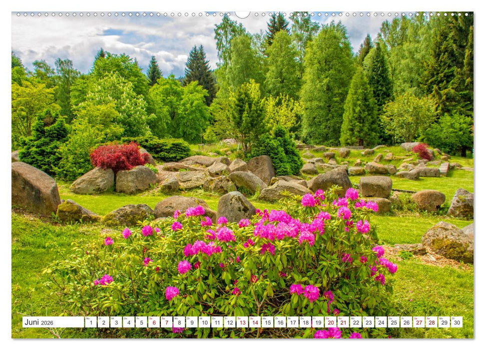 Schierke am Brocken - Die schönste Ortschaft unterhalb des Brockengipfels (CALVENDO Wandkalender 2026)