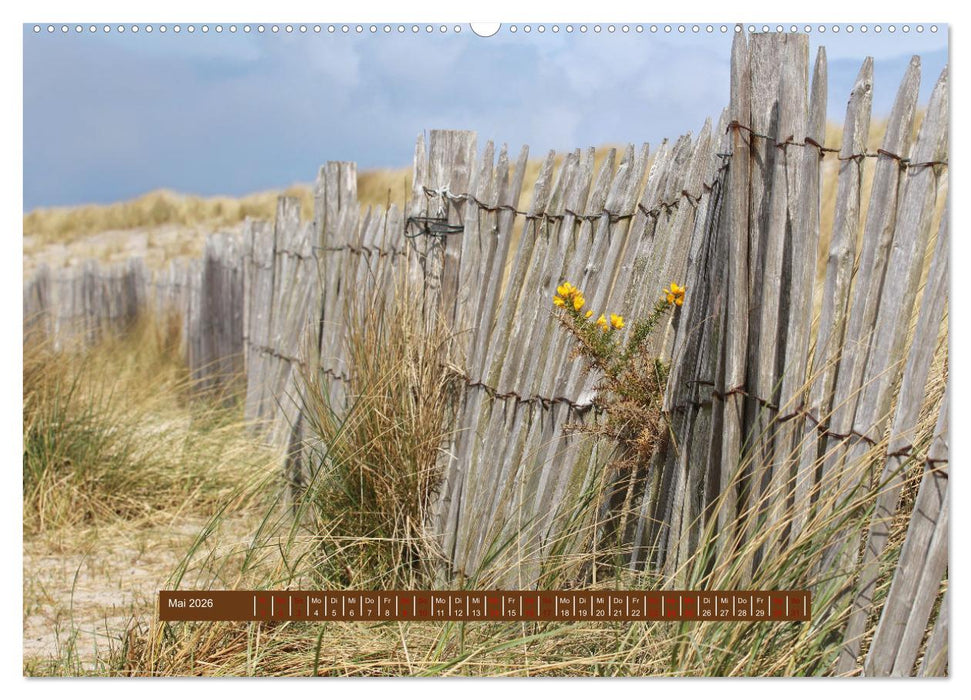 Ein Tag am Meer - Impressionen von der Insel Sylt (CALVENDO Wandkalender 2026)