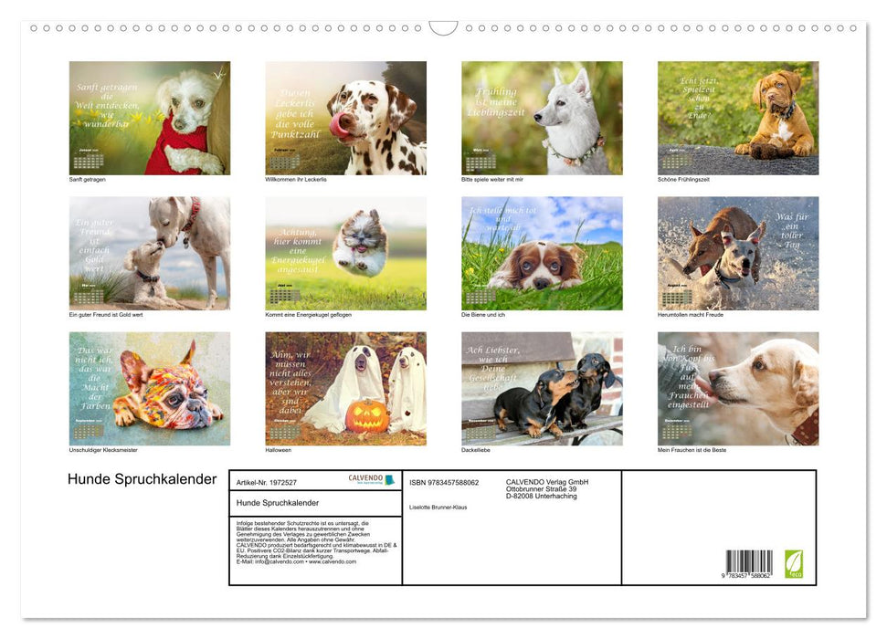 Hunde Spruchkalender (CALVENDO Wandkalender 2026)