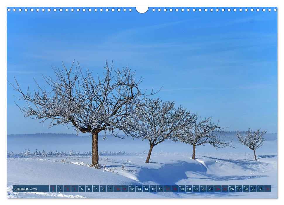 Ich liebe die Jahreszeiten (CALVENDO Wandkalender 2026)