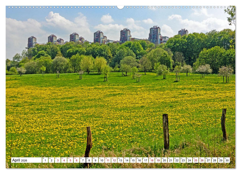 Aachen - ein Stadt zum Verlieben (CALVENDO Wandkalender 2026)