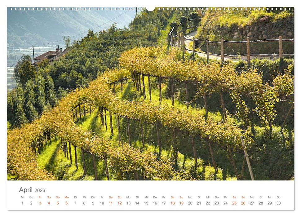 Goldener Herbst in Südtirol (CALVENDO Premium Wandkalender 2026)