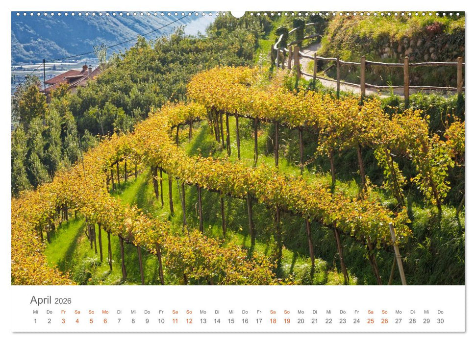 Goldener Herbst in Südtirol (CALVENDO Premium Wandkalender 2026)