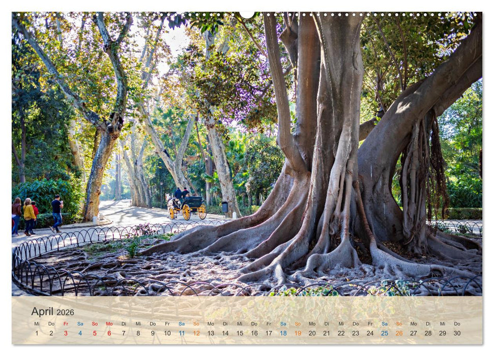 Sevilla - die andalusische Hauptstadt (CALVENDO Premium Wandkalender 2026)