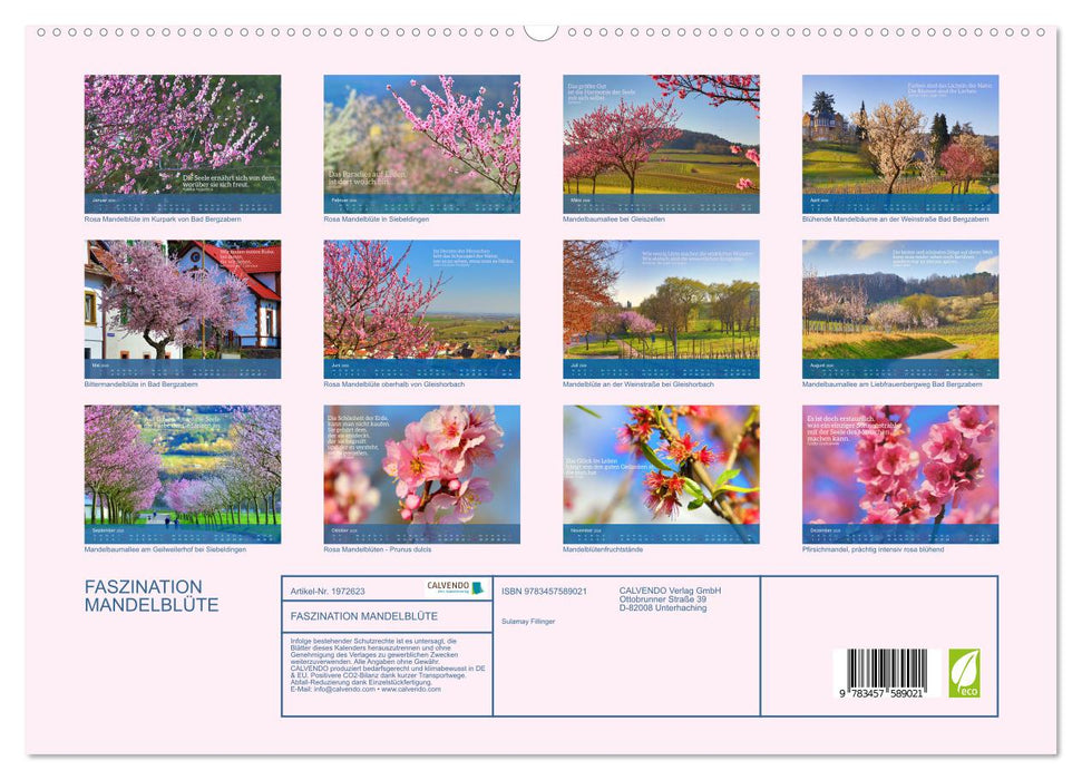 FASZINATION MANDELBLÜTE (CALVENDO Premium Wandkalender 2026)