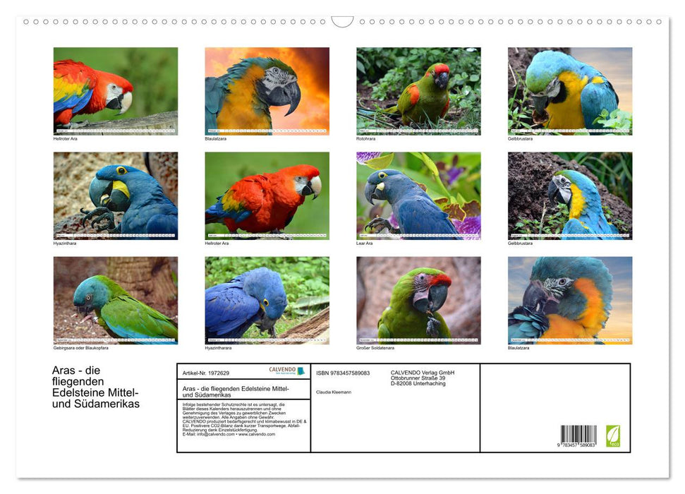 Aras - die fliegenden Edelsteine Mittel- und Südamerikas (CALVENDO Wandkalender 2026)