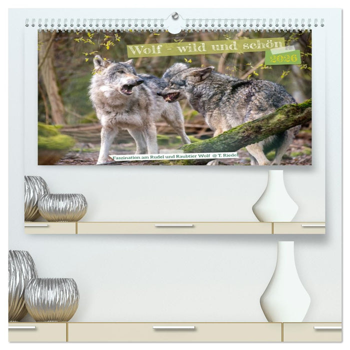 Wolf - wild und schön (CALVENDO Premium Wandkalender 2026)