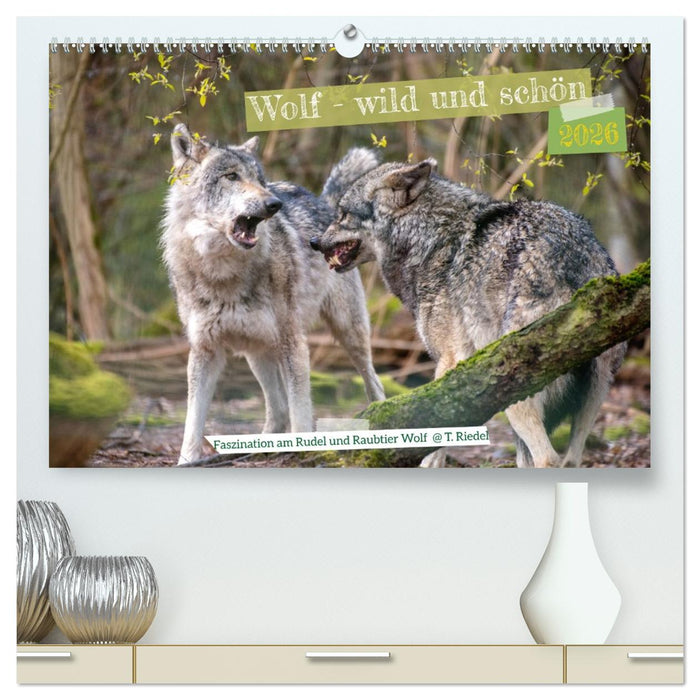 Wolf - wild und schön (CALVENDO Premium Wandkalender 2026)
