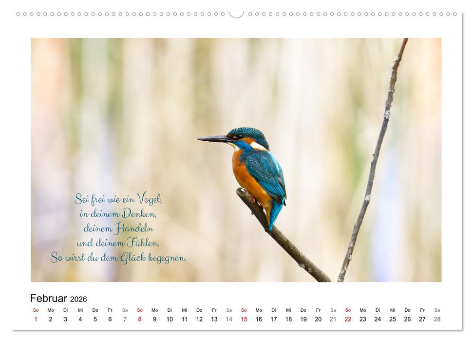 Vögel und geflügelte Worte (CALVENDO Premium Wandkalender 2026)