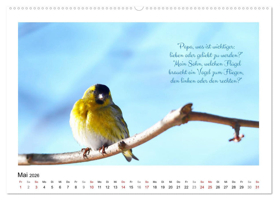 Vögel und geflügelte Worte (CALVENDO Premium Wandkalender 2026)
