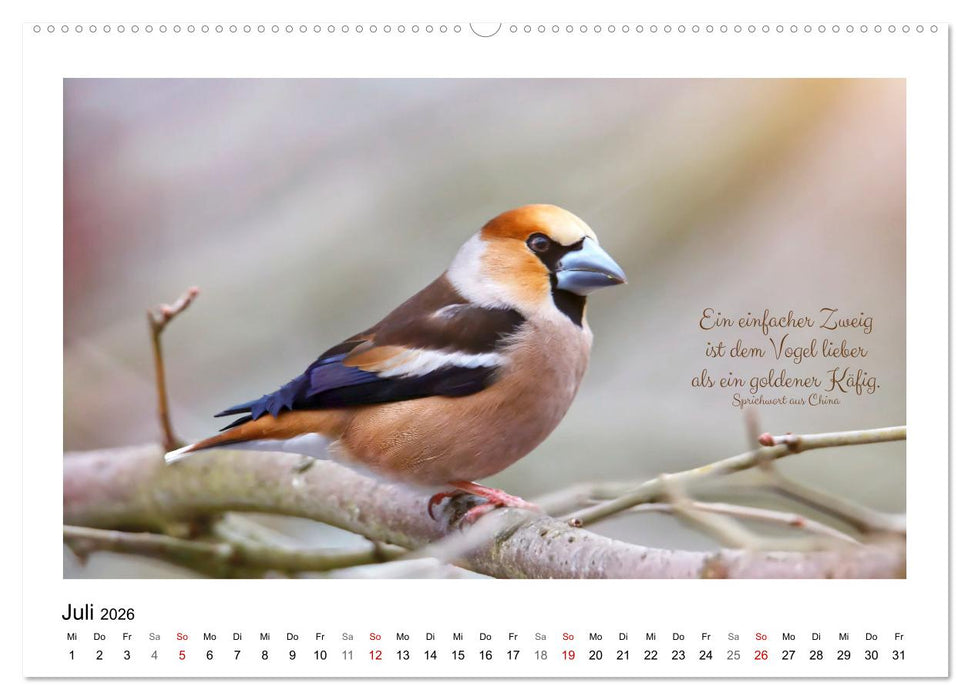 Vögel und geflügelte Worte (CALVENDO Premium Wandkalender 2026)