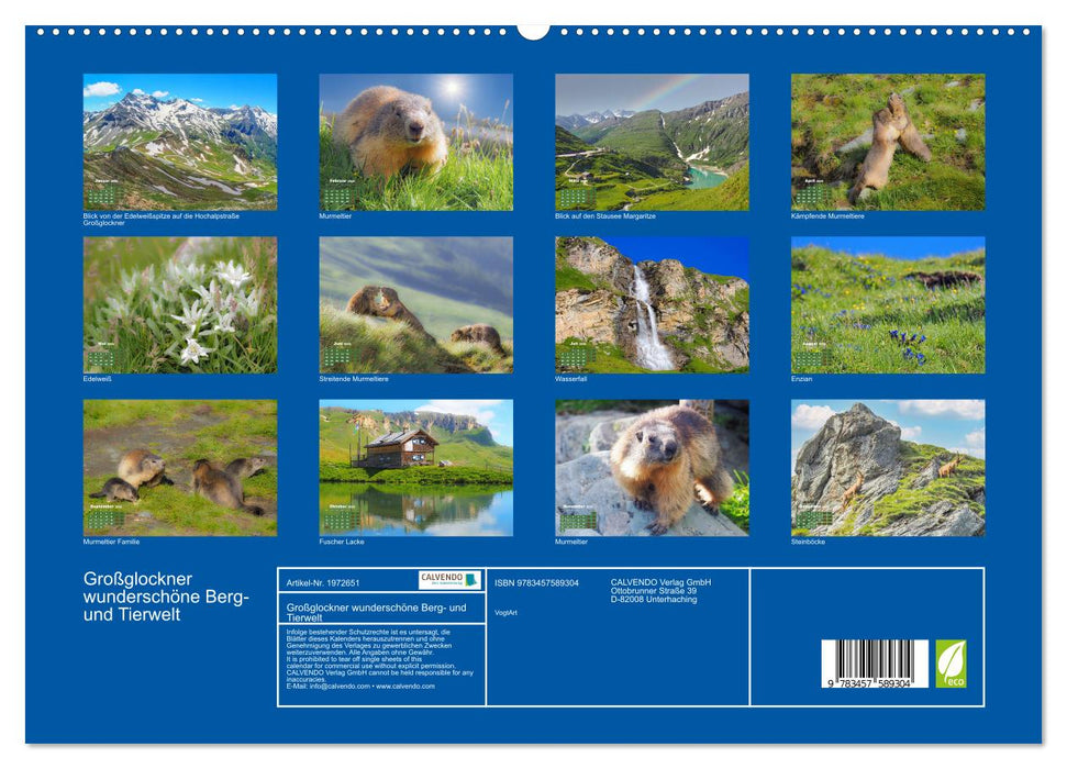 Großglockner wunderschöne Berg- und Tierwelt (CALVENDO Premium Wandkalender 2026)
