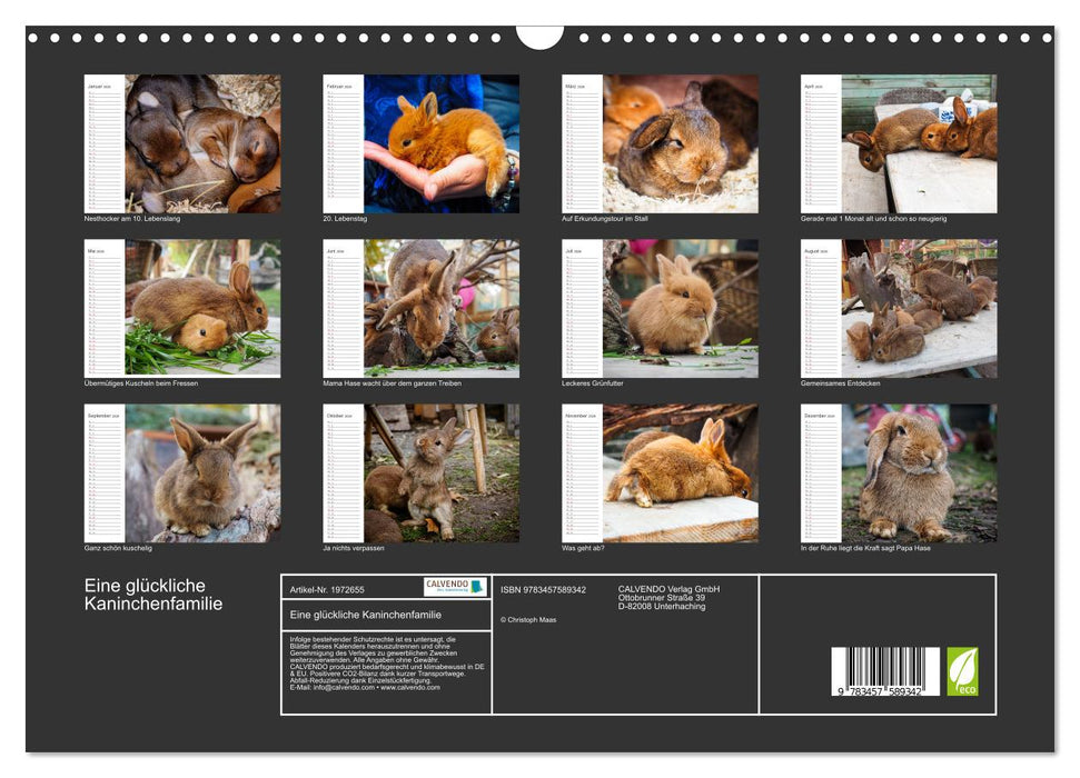 Eine glückliche Kaninchenfamilie (CALVENDO Wandkalender 2026)