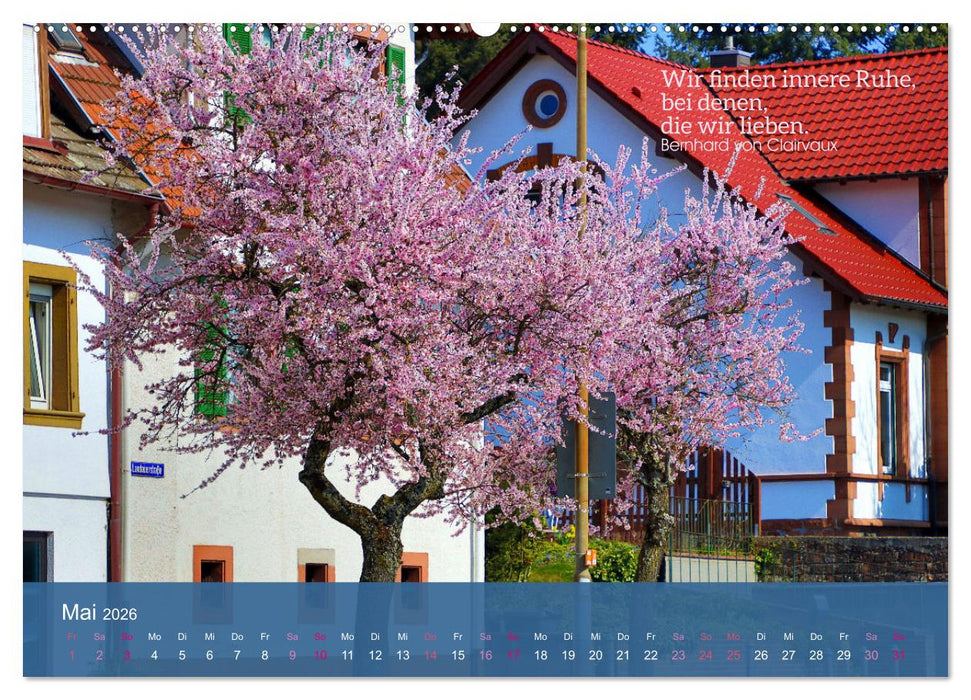 FASZINATION MANDELBLÜTE (CALVENDO Wandkalender 2026)