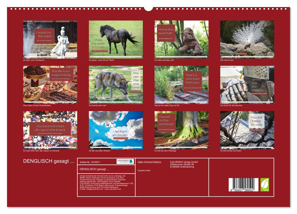 DENGLISCH gesagt ... (CALVENDO Premium Wandkalender 2026)