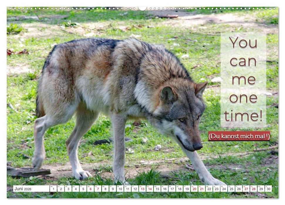 DENGLISCH gesagt ... (CALVENDO Premium Wandkalender 2026)